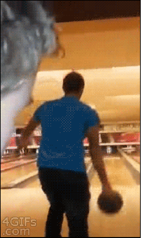 best funny gifs 24