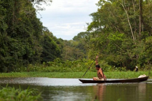 Arapaima Fishing in Brazil (18 photos)