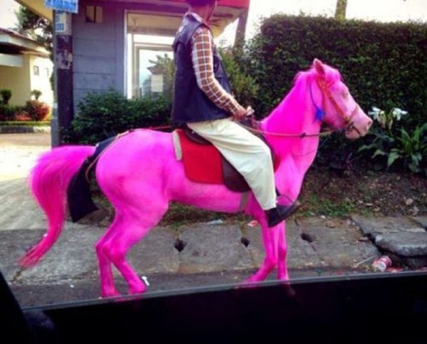 wtf pictures 15 18 Photos That Make No Sense (31 photos)