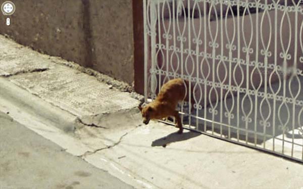 49 WTF Moments Captured On Google Street View (49 photos)