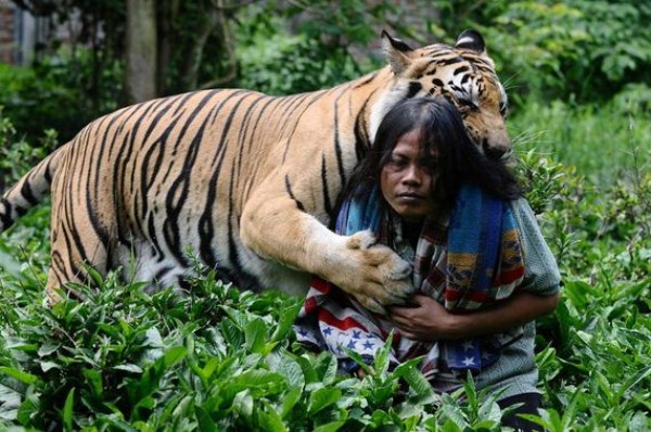Meet Abdullah Sholeh And His Tiger Mulan (19 photos)