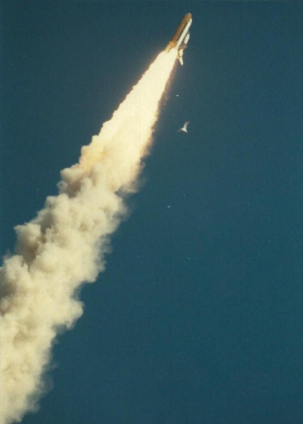 Unpublished Challenger Disaster Photos (26 photos)