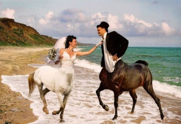 funny wedding photos from eastern europe 36