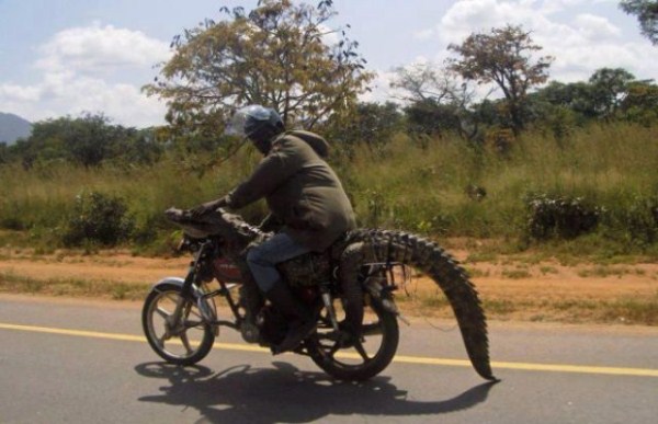 Only in Africa (44 photos)