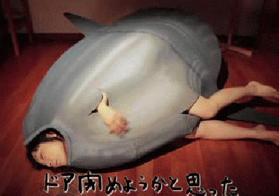 30 Totally WTF Gifs from Japan (30 gifs)