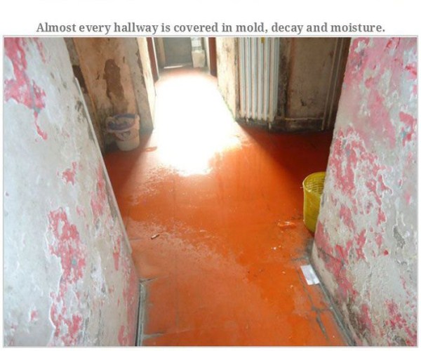 Most Disgusting Student Dormitory in the World (33 photos) 7