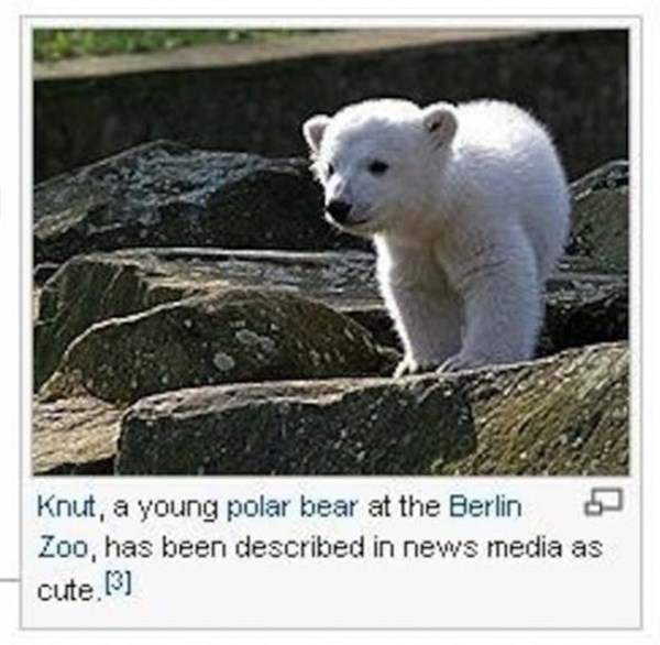 wikipedia ridiculous captions 16