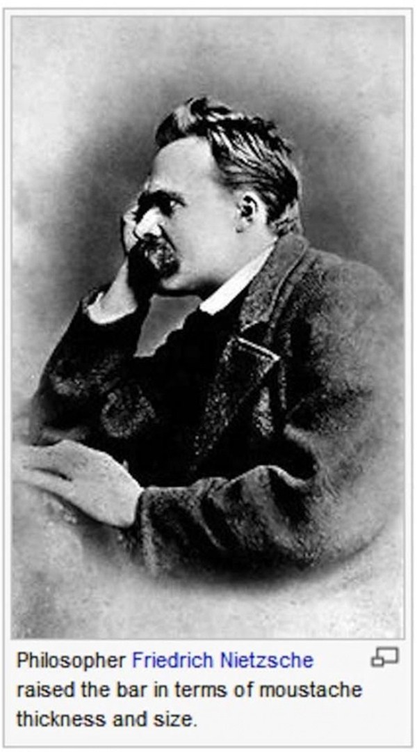 wikipedia-ridiculous-captions-9