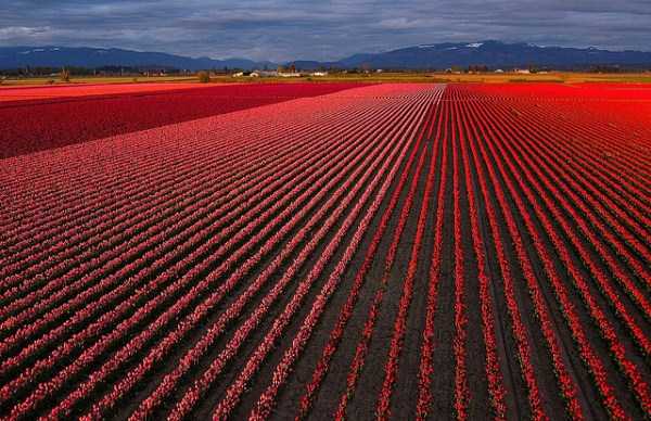 60 Truly Awesome Aerial Photos (60 photos)