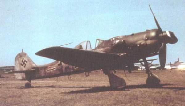 German Luftwaffe in WWII Pics 3