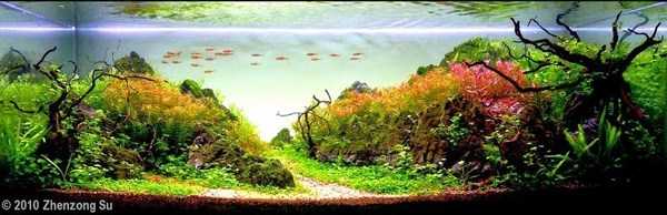Aquariums With Amazing Underwater Decorations (123 photos)