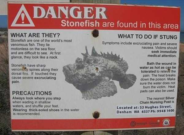 Totally Crazy Things Seen in Australia (30 photos)