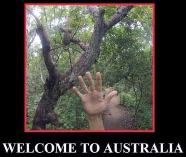 crazy things in australia 28