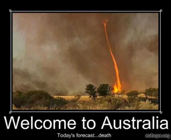 crazy things in australia 29