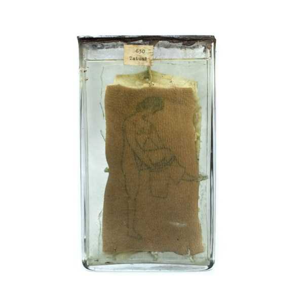 Dead Prisoners Tattoos Preserved in Formaldehyde (20 photos)