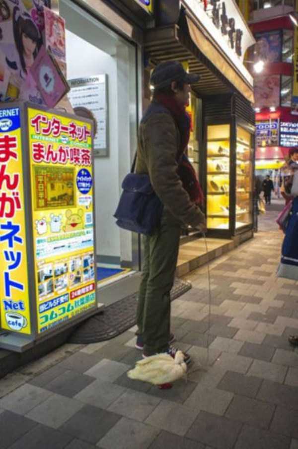 100% WTF (57 photos)