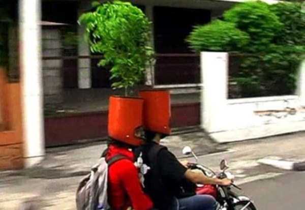 Totally Crazy Things You Will Only See in Asia (63 photos)