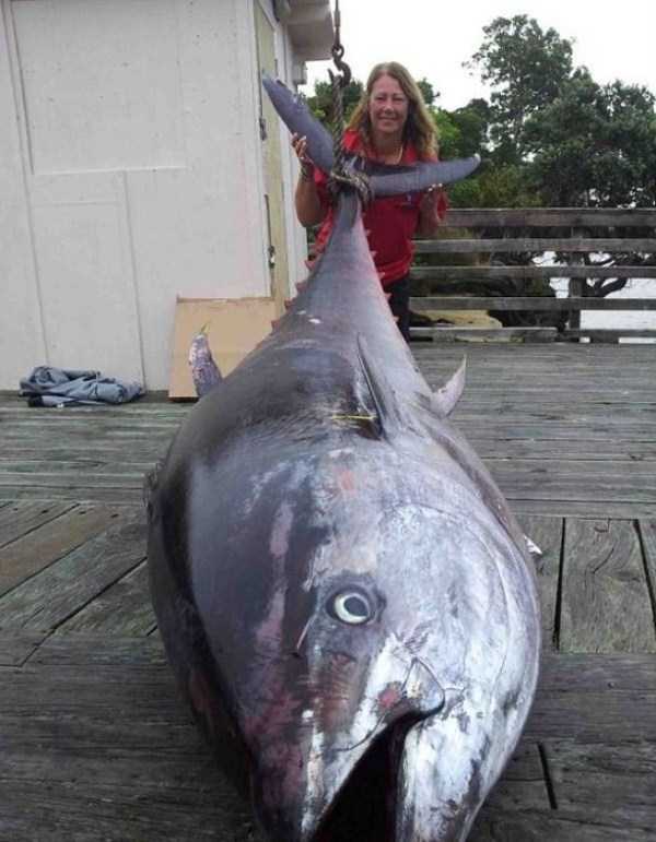 woman catches a big tuna fish 5