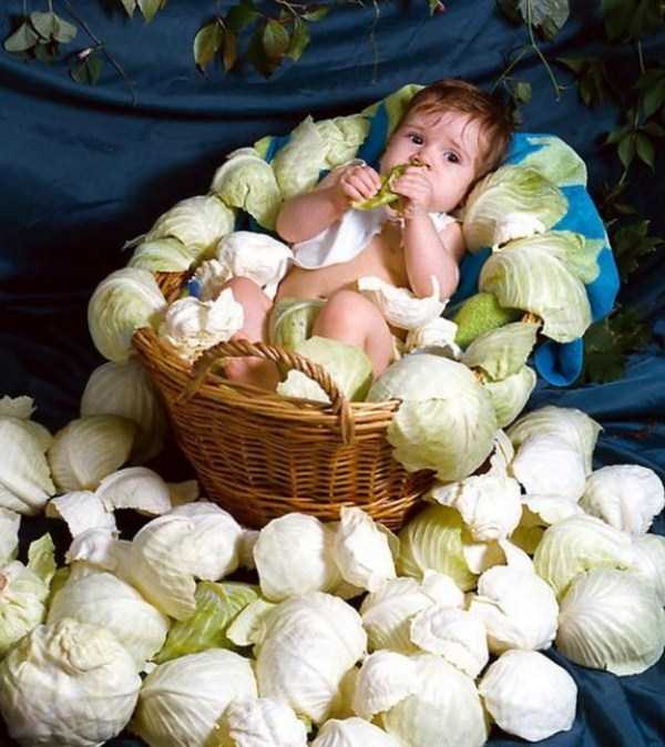 100% WTF (26 photos)