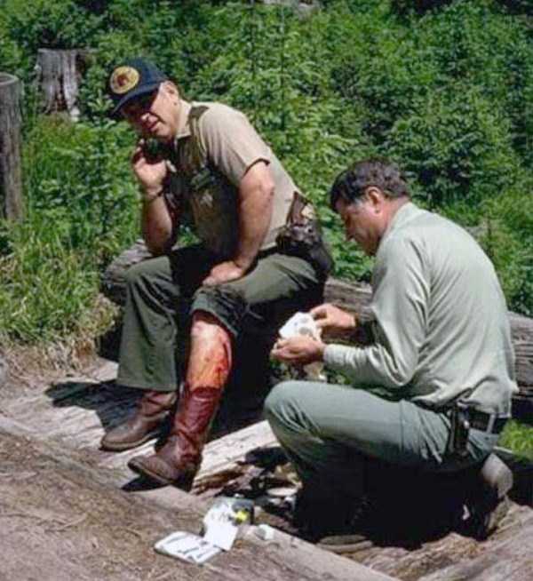 Forest Ranger Attacked by Grizzly Bear (9 photos)