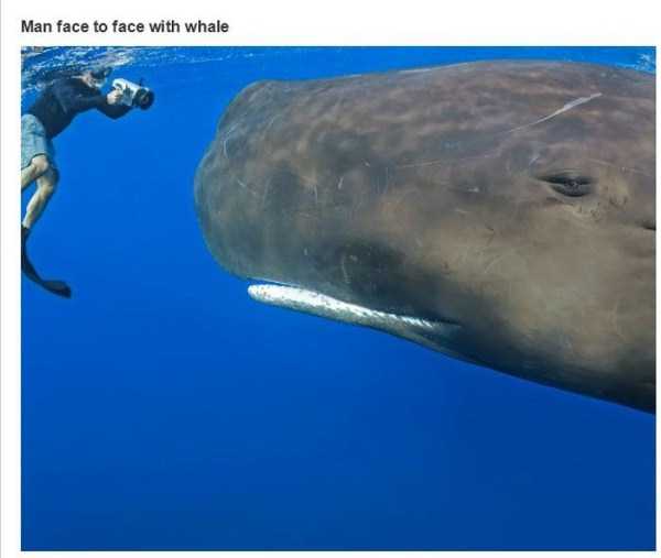 20 Totally Awesome Photos (20 photos)