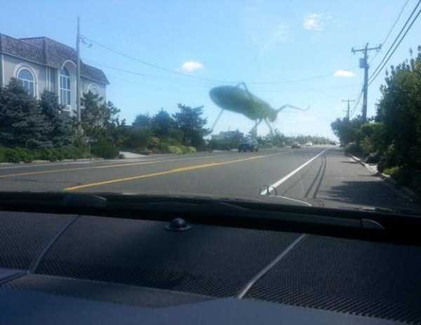 Misleading Photos That Will Make You Look Twice (57 photos)