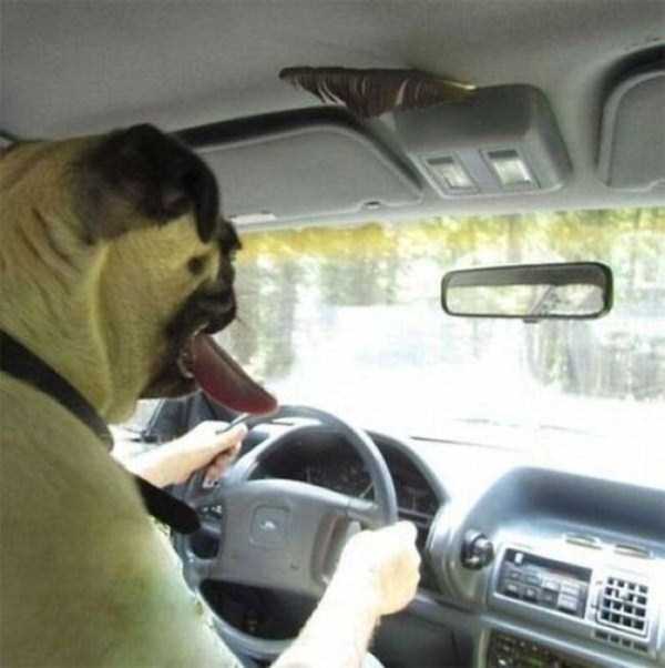 Misleading Photos That Will Make You Look Twice (57 photos)