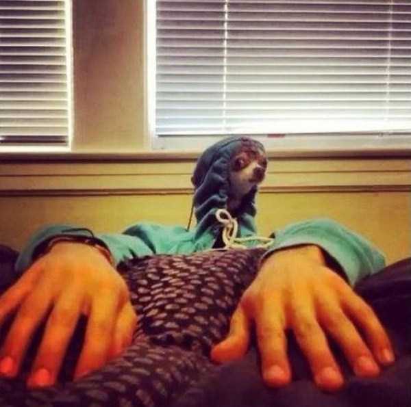 Misleading Photos That Will Make You Look Twice (57 photos)