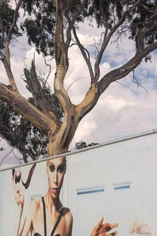 Misleading Photos That Will Make You Look Twice (57 photos)