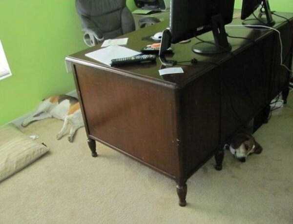 Misleading Photos That Will Make You Look Twice (57 photos)