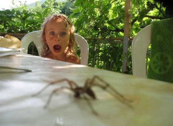 pictures are worth much more than words 3 42 Powerful Photos (42 photos)