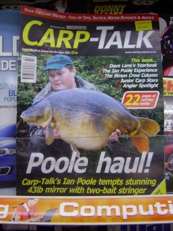 Completely Odd Magazines That Actually Exist (29 photos)
