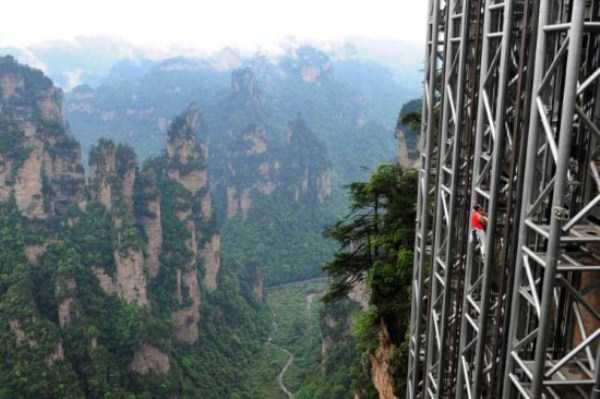 Theyre Pushing Their Luck Too Far (28 photos)