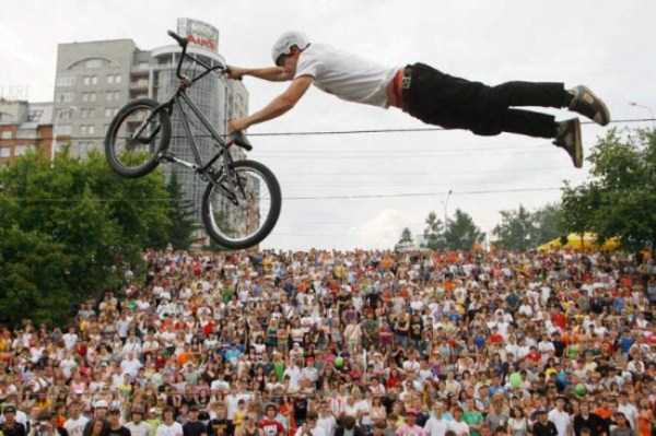 Theyre Pushing Their Luck Too Far (28 photos)