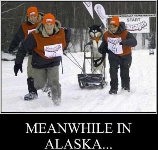 Meanwhile in Alaska (24 photos)