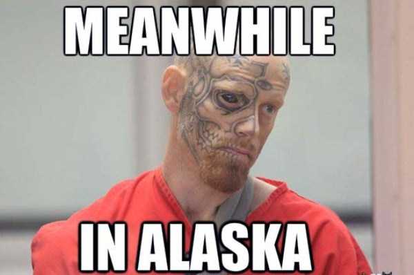 Meanwhile in Alaska (24 photos)