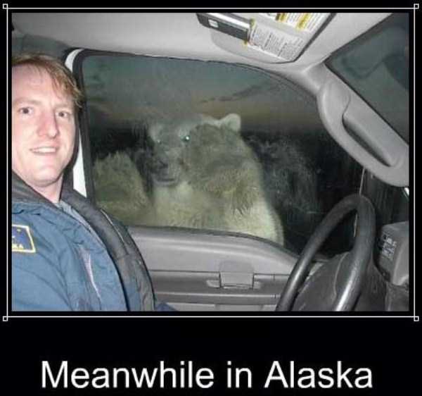 Meanwhile in Alaska (24 photos)