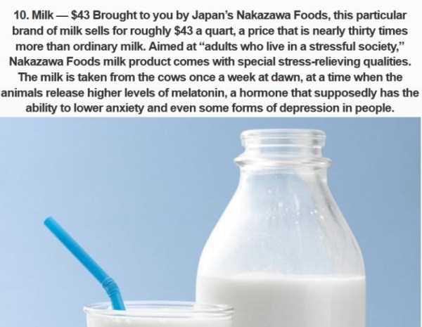 Ridiculously Expensive Japanese Food (10 photos)