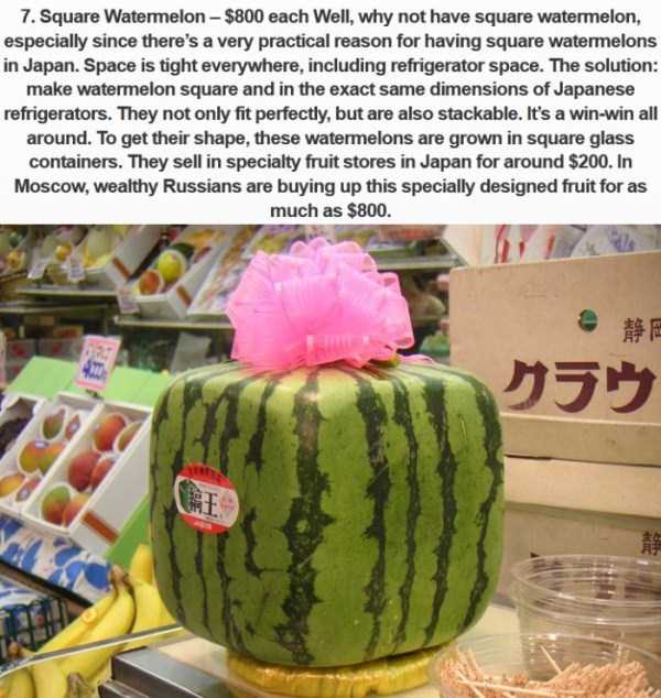 Ridiculously Expensive Japanese Food (10 photos)