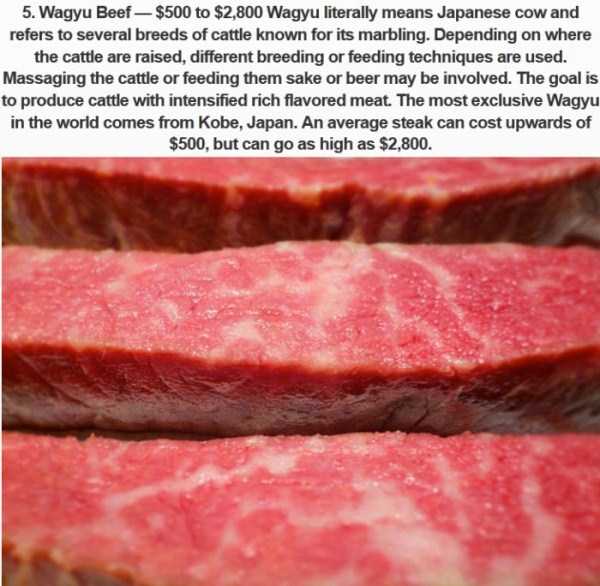 Ridiculously Expensive Japanese Food (10 photos)