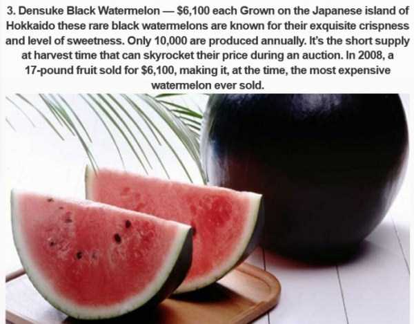 Ridiculously Expensive Japanese Food (10 photos)