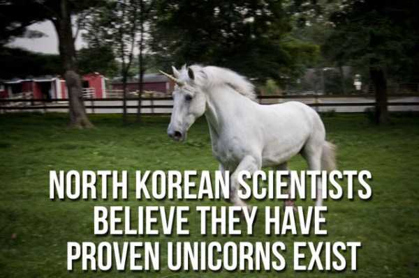 unbelievable facts north korea 14