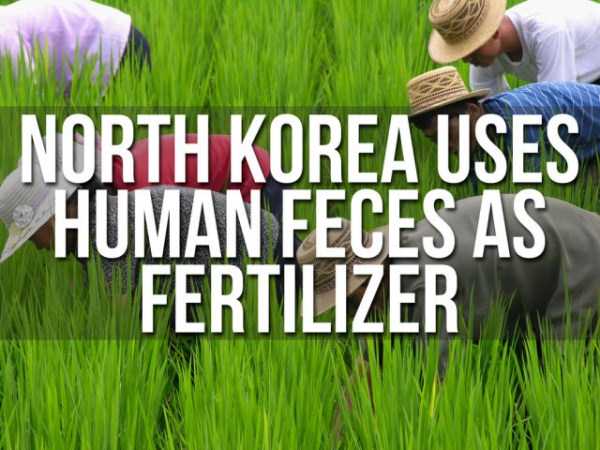 unbelievable facts north korea 4