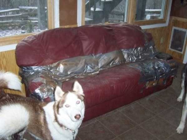 Duct Tape Can Fix Almost Anything (40 photos)