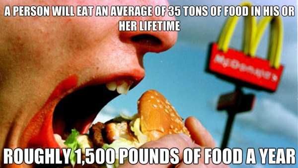 21 Random Interesting Facts You Probably Didnt Know (21 photos)