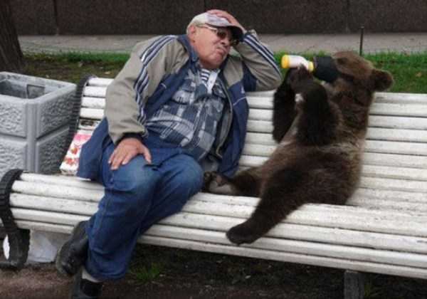 Bears are Just an Ordinary Pets in Russia (37 photos)