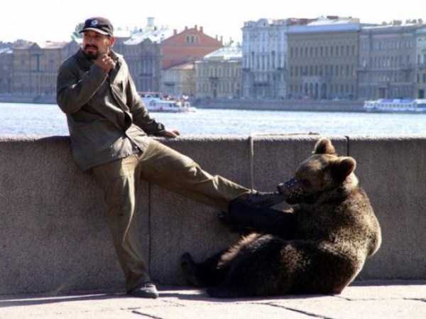 Bears are Just an Ordinary Pets in Russia (37 photos)