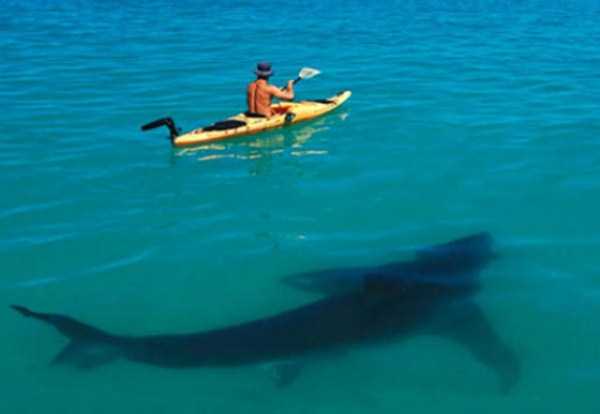 This Will End Disastrously (36 photos)