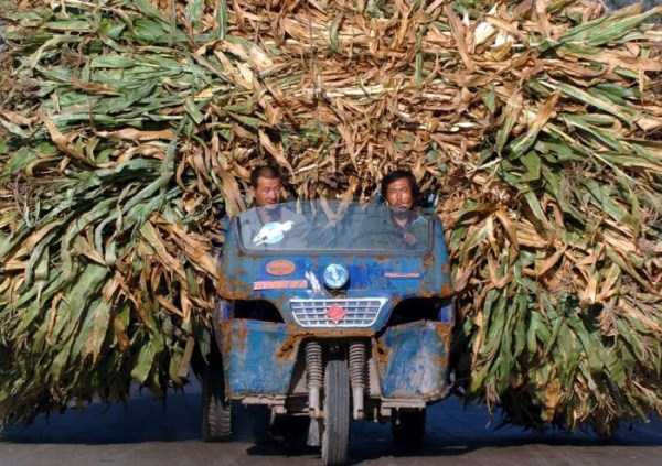 Extreme Overloads (35 photos)