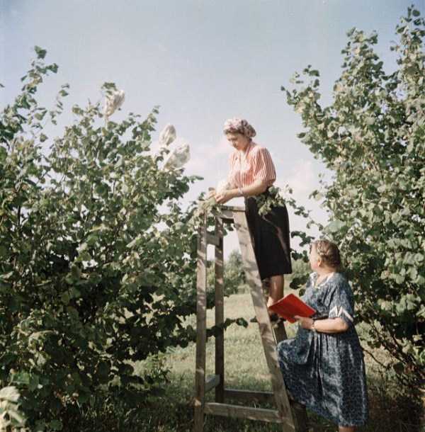 old color photos of soviet union 4